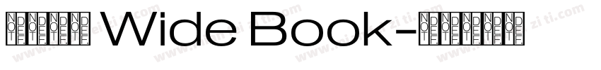 未來熒黑 Wide Book字体转换